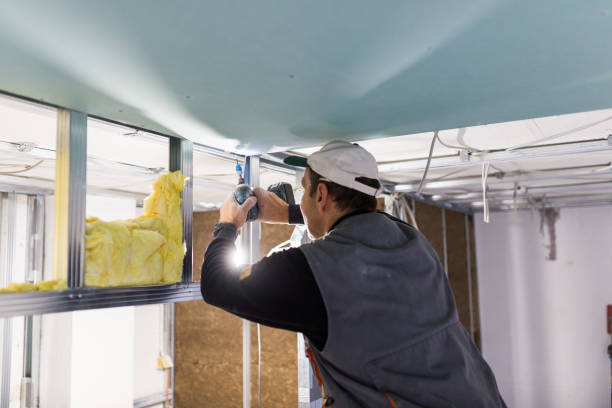 Best Blown-in Insulation in Carbondale, PA